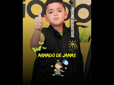Jama Net Telescopica de 3 secciones (40 cm - 80 cm - 140 cm) marca Biologika®