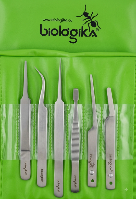 Kit de pinzas entomológicas (6 unidades). Marca Biologika®