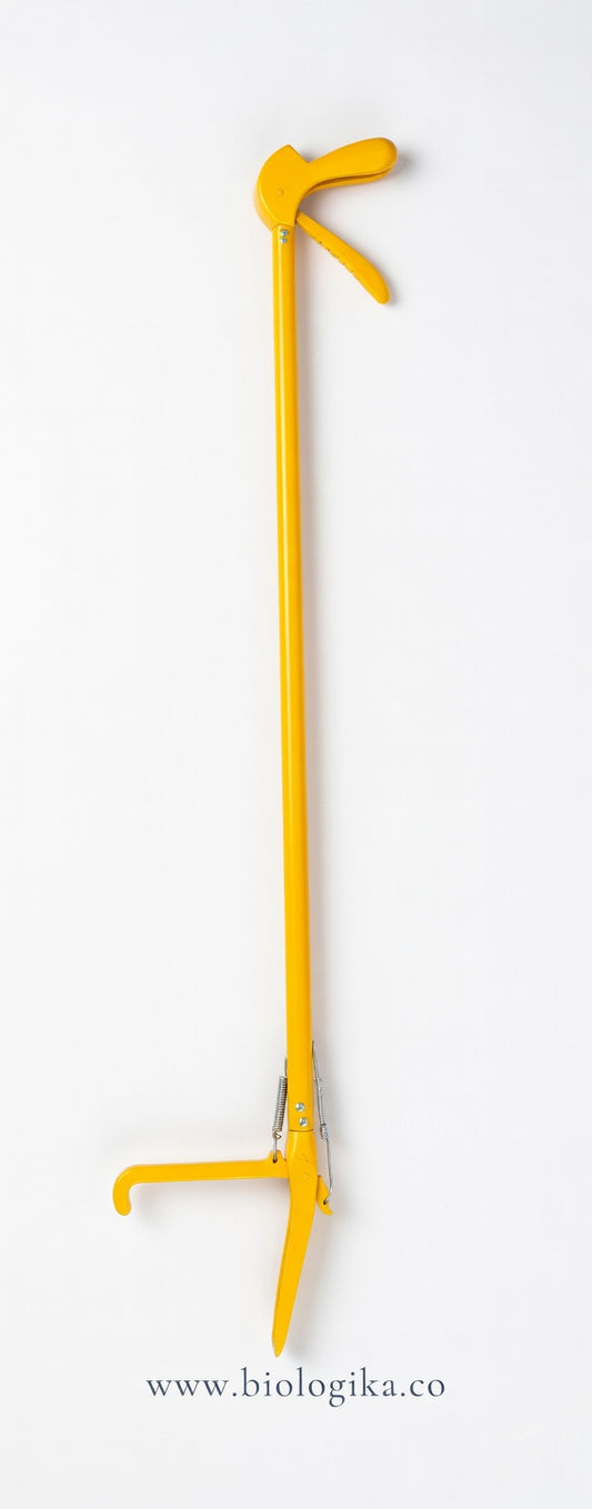 Tenaza Herpetológica Punta de Loro.