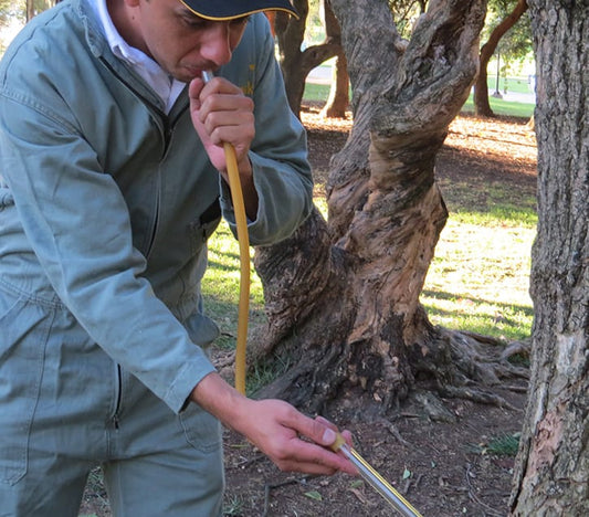 Aspirador bucal en látex 70 cm. Marca Biologika®