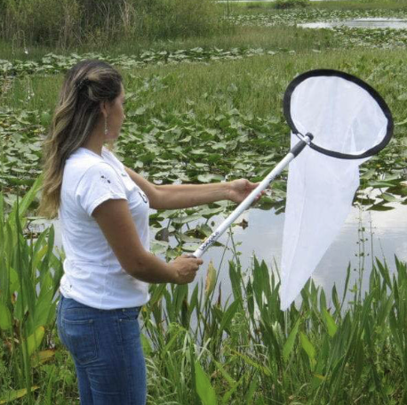 Redes para muestreo de insectos (Jamas de entomológia fijas). Marca Biologika®