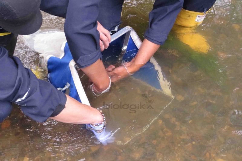 Red Surber marca Biologika® – Biologika Colombia